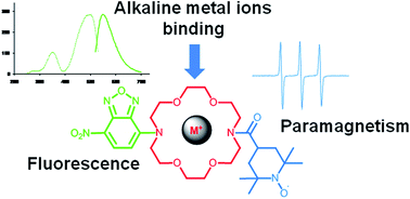 Graphical abstract: A novel profluorescent paramagnetic diaza-crown ether: synthesis, characterization and alkaline metal-ion complexation