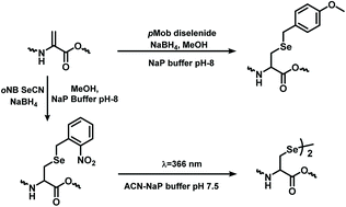 Graphical abstract: Application of dehydroalanine as a building block for the synthesis of selenocysteine-containing peptides