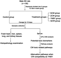 Graphical abstract: A UPLC-MS-based metabolomics approach to reveal the attenuation mechanism of Caowu compatibility with Yunnan Baiyao