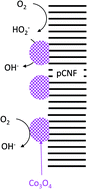 Graphical abstract: High dispersion and oxygen reduction reaction activity of Co3O4 nanoparticles on platelet-type carbon nanofibers