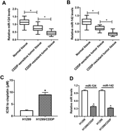 Graphical abstract: miR-124 and miR-142 enhance cisplatin sensitivity of non-small cell lung cancer cells through repressing autophagy via directly targeting SIRT1