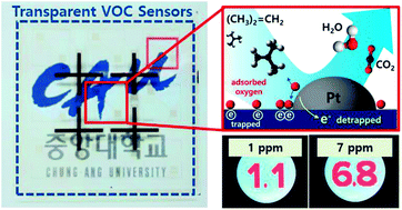 Graphical abstract: Nano Pt-decorated transparent solution-processed oxide semiconductor sensor with ppm detection capability