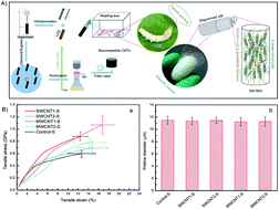 Graphical abstract: Obtaining high mechanical performance silk fibers by feeding purified carbon nanotube/lignosulfonate composite to silkworms