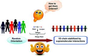 Graphical abstract: Analysis of energies of halogen and hydrogen bonding interactions in the solid state structures of vanadyl Schiff base complexes