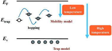 Graphical abstract: Exploring the temperature effect on hole transport properties in organic bulk heterojunctions