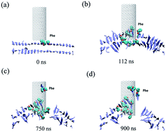 Graphical abstract: Effect of the surface curvature on amyloid-β peptide adsorption for graphene
