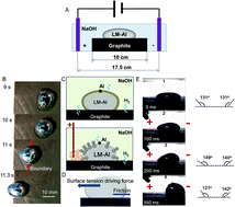 Graphical abstract: Electrical control of liquid metal amoeba with directional extension formation