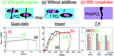 Graphical abstract: Multi-scale instrumental analyses of plasticized polyhydroxyalkanoates (PHA) blended with polycaprolactone (PCL) and the effects of crosslinkers and graft copolymers