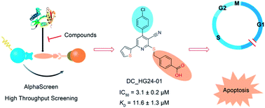 Graphical abstract: Discovery of trisubstituted nicotinonitrile derivatives as novel human GCN5 inhibitors through AlphaScreen-based high throughput screening