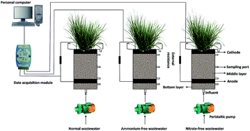 Graphical abstract: Electricity production and the analysis of the anode microbial community in a constructed wetland-microbial fuel cell