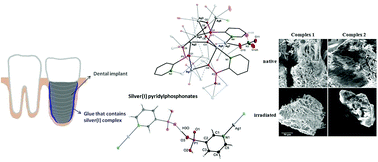 Graphical abstract: Silver(i) pyridylphosphonates – synthesis, structure, stability and light-insensitivity investigation