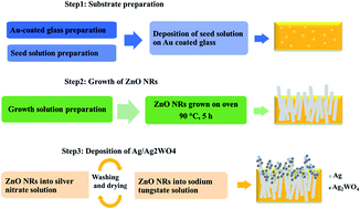 Graphical abstract: ZnO/Ag/Ag2WO4 photo-electrodes with plasmonic behavior for enhanced photoelectrochemical water oxidation