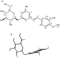 Graphical abstract: Solvation effect and binding of rhaponticin with iron: a spectroscopic and DFT/TDDFT study