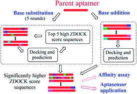 Graphical abstract: In silico post-SELEX screening and experimental characterizations for acquisition of high affinity DNA aptamers against carcinoembryonic antigen