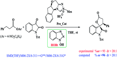 Graphical abstract: Mechanism and stereoselectivity in NHC-catalyzed β-functionalization of saturated carboxylic ester