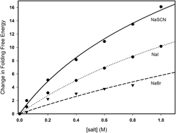 Graphical abstract: Do soft anions promote protein denaturation through binding interactions? A case study using ribonuclease A