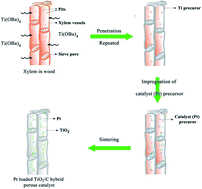 Graphical abstract: A TiO2/C catalyst having biomimetic channels and extremely low Pt loading for formaldehyde oxidation