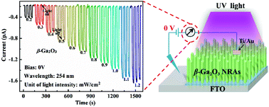 Graphical abstract: β-Ga2O3 nanorod arrays with high light-to-electron conversion for solar-blind deep ultraviolet photodetection