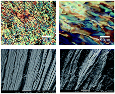 Graphical abstract: Synthesis of novel thermotropic liquid crystalline polymers by a reactive extrusion process