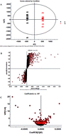 Graphical abstract: High throughput metabolomics-proteomics investigation on metabolic phenotype changes in rats caused by Radix Scrophulariae using ultra-performance liquid chromatography with mass spectrometry