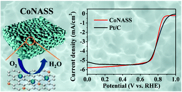 Graphical abstract: Sponge-like N-doped carbon materials with Co-based nanoparticles derived from biomass as highly efficient electrocatalysts for the oxygen reduction reaction in alkaline media