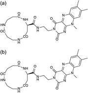 Graphical abstract: Chiral and random arrangements of flavin chromophores along cyclic peptide nanotubes on gold influencing differently on surface potential and piezoelectricity