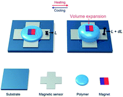 Graphical abstract: Accurate, hysteresis-free temperature sensor for health monitoring using a magnetic sensor and pristine polymer