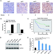 Graphical abstract: Inhibition of G9a promoted 5-fluorouracil (5-FU) induced gastric cancer cell apoptosis via ROS/JNK signaling pathway in vitro and in vivo