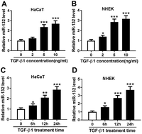 Graphical abstract: Retracted Article: MiR-132 enhances proliferation and migration of HaCaT cells by targeting TIMP3