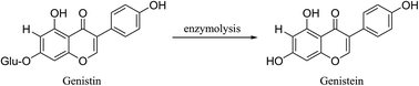 Graphical abstract: A novel method for the highly efficient biotransformation of genistein from genistin using a high-speed counter-current chromatography bioreactor