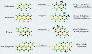 Graphical abstract: Combined molecular docking, homology modelling and density functional theory studies to modify dioxygenase to efficiently degrade aromatic hydrocarbons