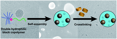 Graphical abstract: Poly(ethylene glycol) brush-b-poly(N-vinylpyrrolidone)-based double hydrophilic block copolymer particles crosslinked via crystalline α-cyclodextrin domains