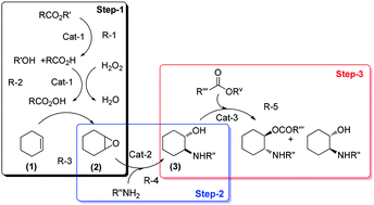 Graphical abstract: Dimethyl carbonate as a non-innocent benign solvent for the multistep continuous flow synthesis of amino alcohols