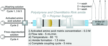Graphical abstract: An optimised approach for continuous-flow solid-phase peptide synthesis utilising a rudimentary flow reactor