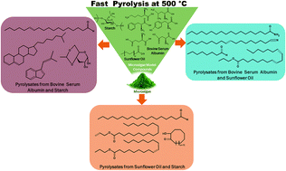 Graphical abstract: Unraveling the interactions in fast co-pyrolysis of microalgae model compounds via pyrolysis-GC/MS and pyrolysis-FTIR techniques