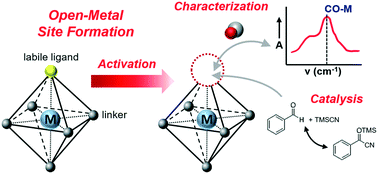 Graphical abstract: Structure, characterization, and catalytic properties of open-metal sites in metal organic frameworks