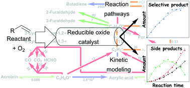 Graphical abstract: Pathways, mechanisms, and kinetics: a strategy to examine byproduct selectivity in partial oxidation catalytic transformations on reducible oxides
