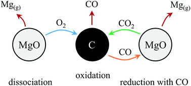 Graphical abstract: On the prevailing reaction pathways during magnesium production via carbothermic reduction of magnesium oxide under low pressures