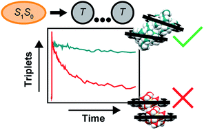 Graphical abstract: Striking the right balance of intermolecular coupling for high-efficiency singlet fission