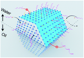 Graphical abstract: Anisotropic functionalization of upconversion nanoparticles