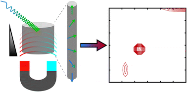 Graphical abstract: Probing molecular dynamics with hyperpolarized ultrafast Laplace NMR using a low-field, single-sided magnet