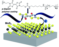 Graphical abstract: Bithiazolidinylidene polymers: synthesis and electronic interactions with transition metal dichalcogenides