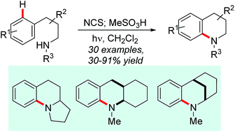 Graphical abstract: Radical-mediated direct C–H amination of arenes with secondary amines