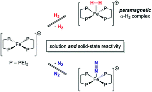 N2和H2在溶液和固态中可逆地配位到同轻子S=1/2铁（I）二膦络合物；10.1039/C8SC01841C；劳伦斯R。Doyle,丹尼尔J。斯科特，彼得J。Hill邓肯A。X。弗雷泽，William K.Myers,安德鲁J。P.White詹妮弗C。格林和安德鲁E。艾希礼