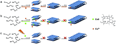 Graphical abstract: Photoactive chlorin e6 is a multifunctional modulator of amyloid-β aggregation and toxicity via specific interactions with its histidine residues