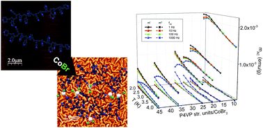 Graphical abstract: Between single ion magnets and macromolecules: a polymer/transition metal-based semi-solid solution