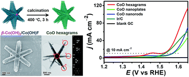 Graphical abstract: Quasi-single-crystalline CoO hexagrams with abundant defects for highly efficient electrocatalytic water oxidation