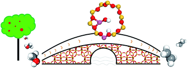 Graphical abstract: Brønsted/Lewis acid sites synergistically promote the initial C–C bond formation in the MTO reaction