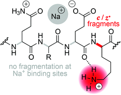 Replacing H+ by Na+ or K+ in phosphopeptide anions and cations prevents electron capture dissociation; 10.1039/C8SC02470G; Eva-Maria Schneeberger and Kathrin Breuker