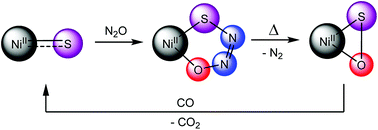 Graphical abstract: Synthesis and reactivity of a nickel(ii) thioperoxide complex: demonstration of sulfide-mediated N2O reduction